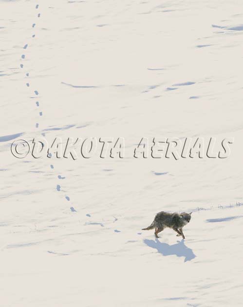 Footprints footprints